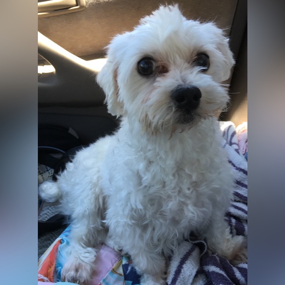 Hello Poshers! ๐โ๏ธ - Picture 2 of 2